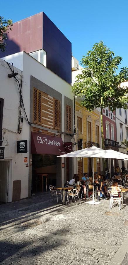 Lofts Msh Canarias 라스팔마스 외부 사진